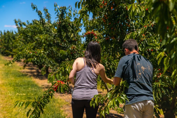 a person standing next to a tree
