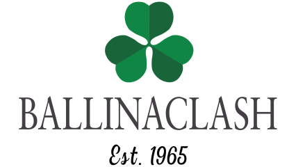 Ballinaclash Fruit and Wine