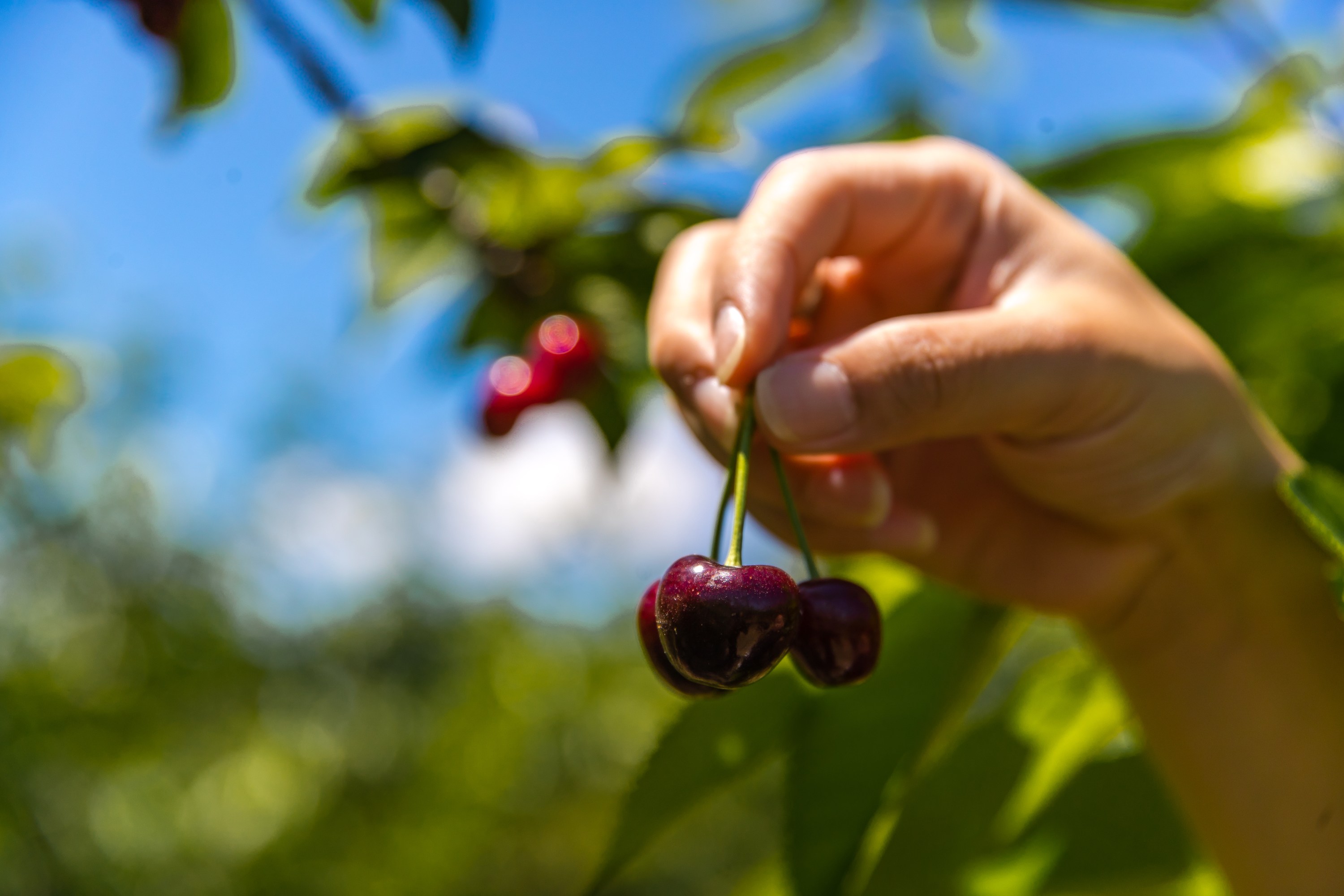 Home Page Hero image 1 (1)