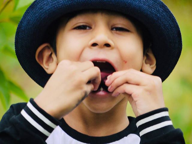 Pick Your Own delicious fresh cherries.