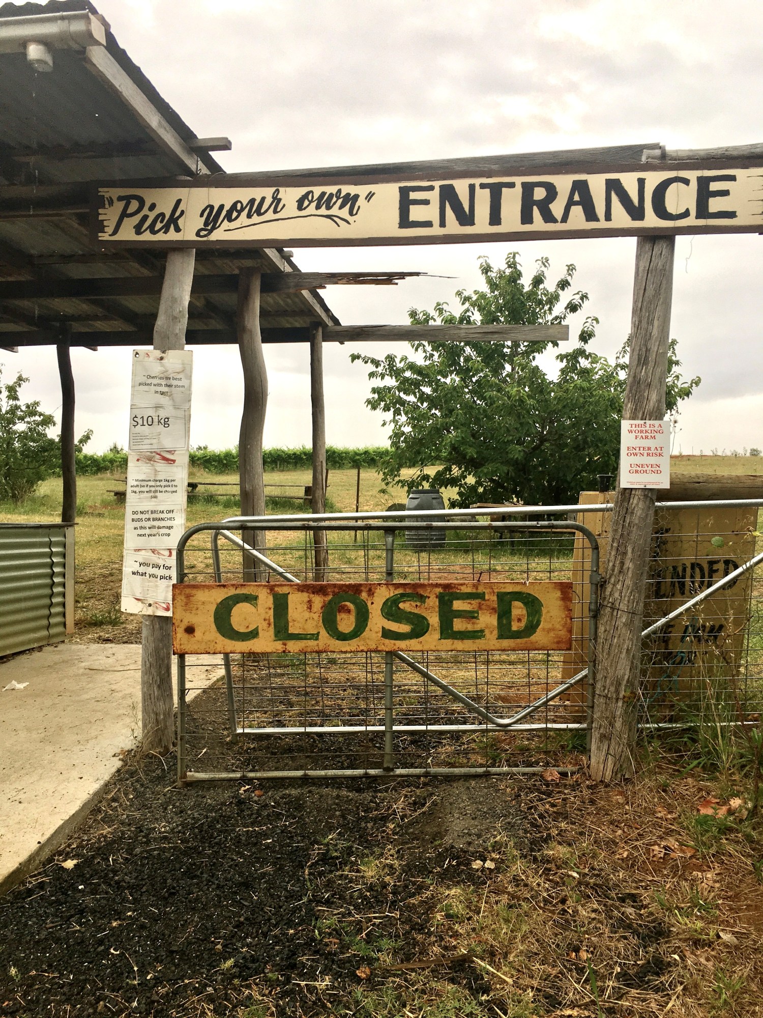 Entrance sign for pick-your-own farm with a 'Closed' gate.